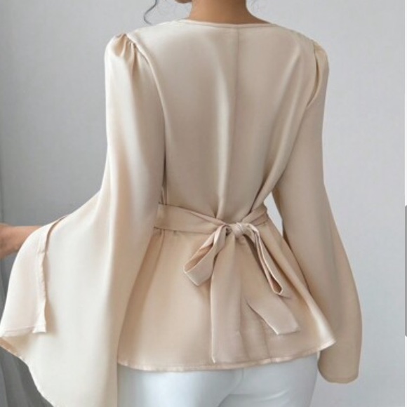 Elenzya Women's Solid Color Lapel Split Long Sleeve Elegant Blouse, Autumn - Picture 3 of 4